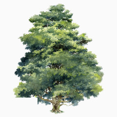 绿色树木素材树木图片素材