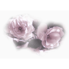 水彩花卉素材花卉设计素材