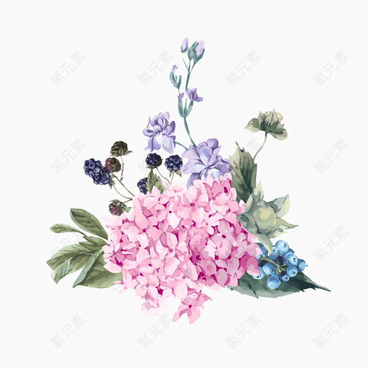 手绘琼花
