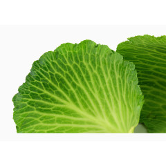 高清摄影包心菜