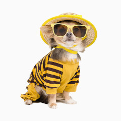 免抠动物广告小狗