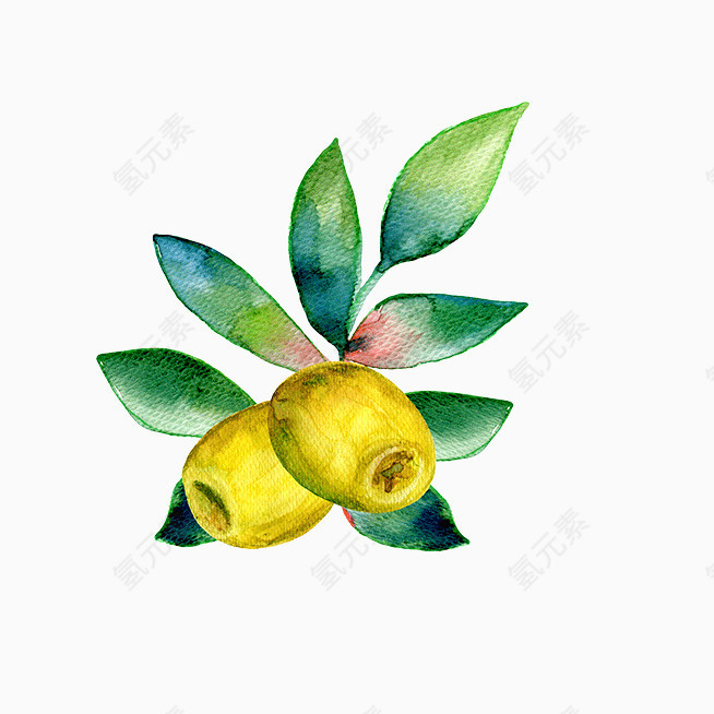 油画梨子