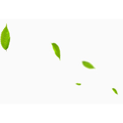 清明节绿色叶子急速飘落素材png