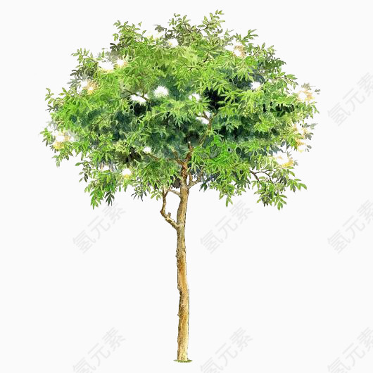 绿色树木素材