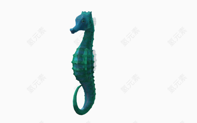 海洋动物