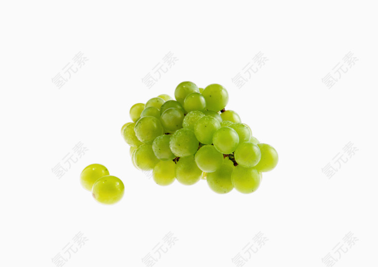 青葡萄
