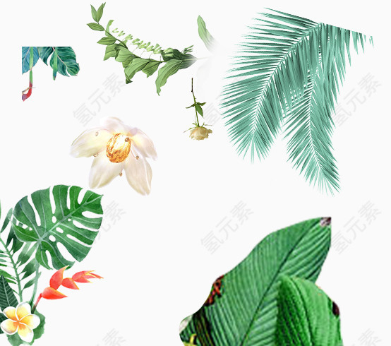免抠绿色植物素材