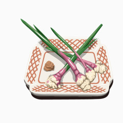 大葱佐料调味料素材