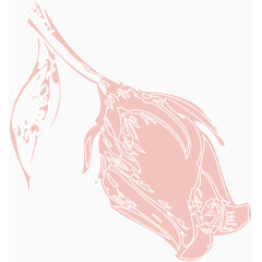 手绘玫瑰花装饰背景