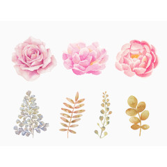 唯美手绘彩色花卉