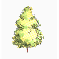 立面手绘景观树