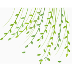 绿色柳条随风飘散 