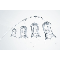 水珠牵牛花设计