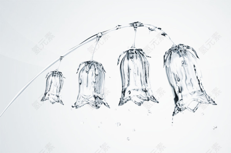 水珠牵牛花设计