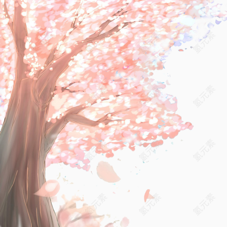 樱花树