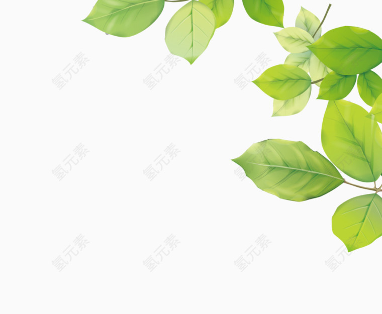 绿叶装饰立体素材