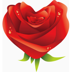 心形玫瑰花瓣