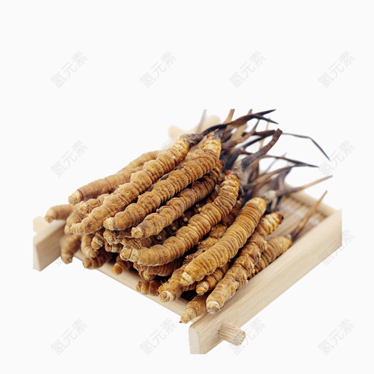 中药材纯天然冬虫夏草