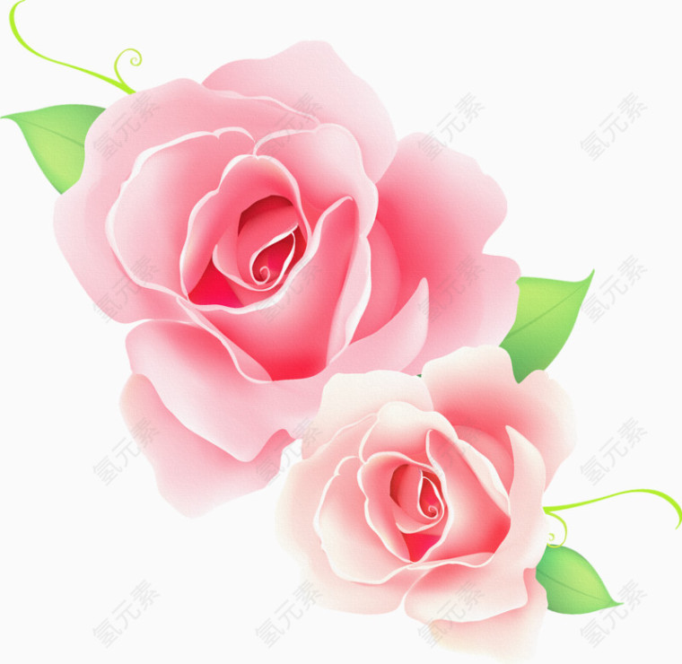 花卉