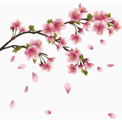 国画花卉素材ps花卉素材