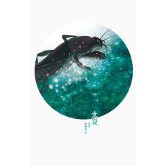 二十四节气立夏