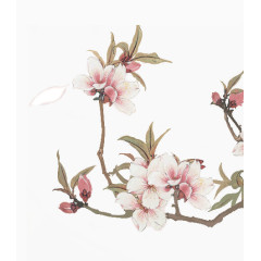 春日风景桃花枝