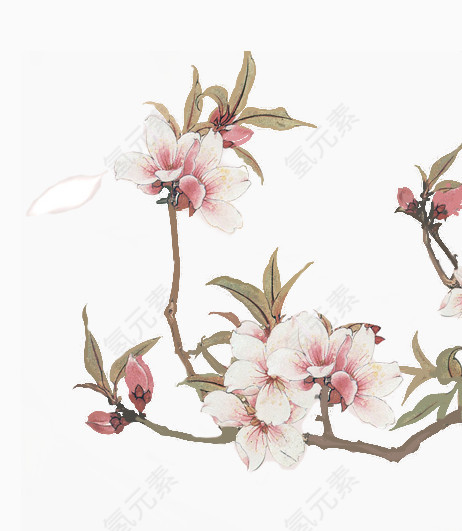 春日风景桃花枝