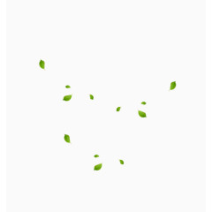 绿色茶叶漂浮装饰