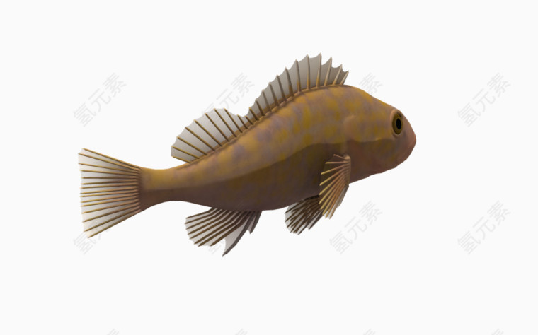 卡通鱼海洋动物免费下载