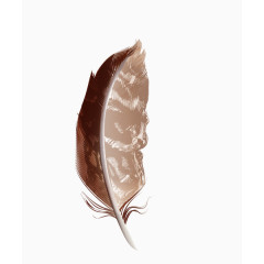 免抠动物羽毛素材