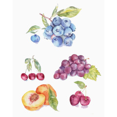 手绘水墨水果合集 