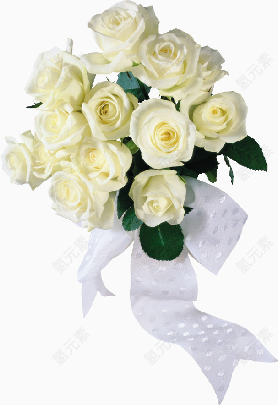 鲜花白玫瑰