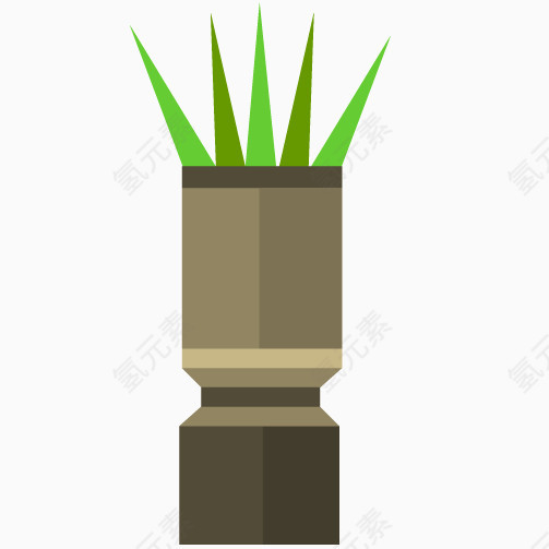 扁平化盆栽植物