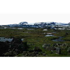 苔原风景六