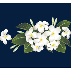 鸡蛋花叶子卡通手绘装饰元素