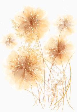 唯美花卉
