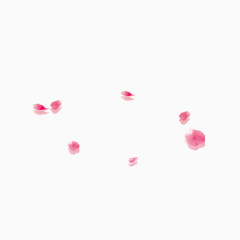 粉色的花瓣
