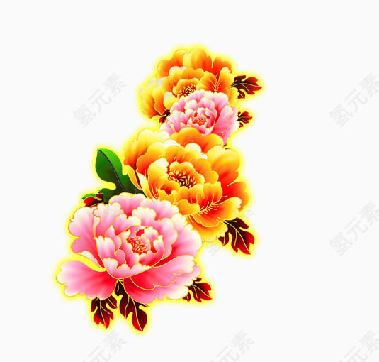 花卉