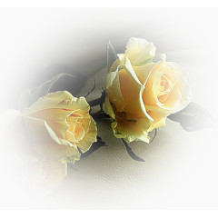 庆典花卉卡通装饰素材