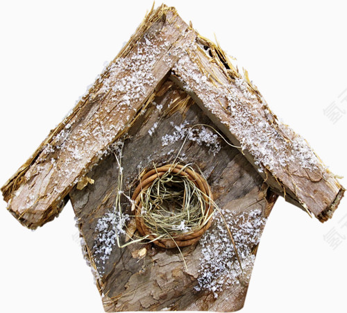 被冰冻的鸟巢