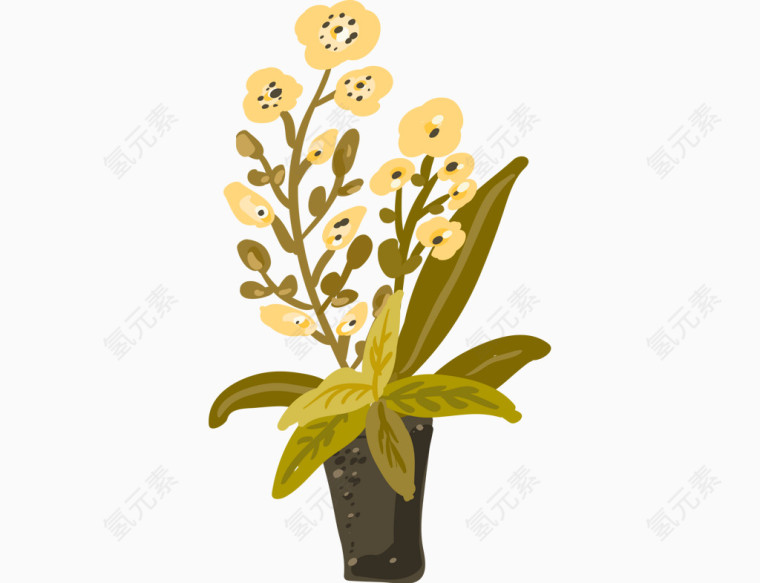 观赏花卉植物