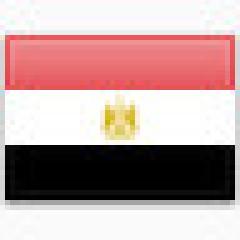 巴布亚新几内亚的图标