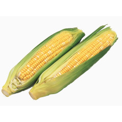 蔬菜图标食物图标  精美清新玉米