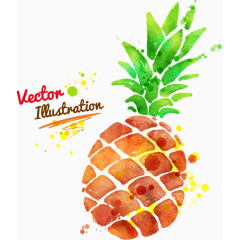 水彩菠萝