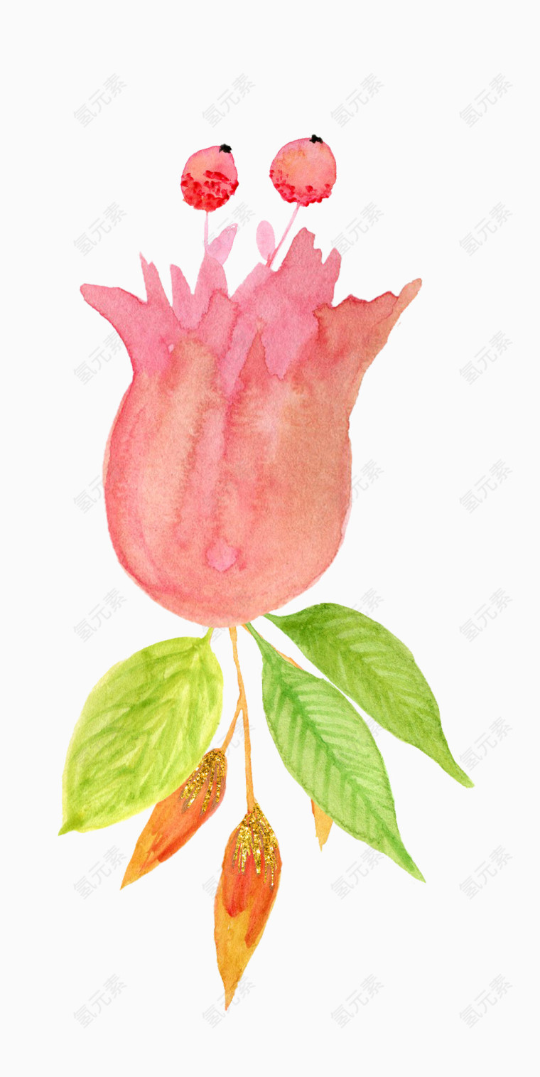 植物水彩画