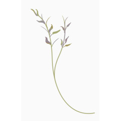 卡通手绘树枝叶子