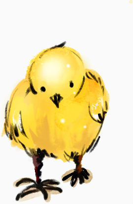 黄色水彩低头小鸡卡通小鸡