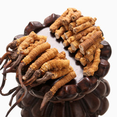 道地虫草断草纯天然