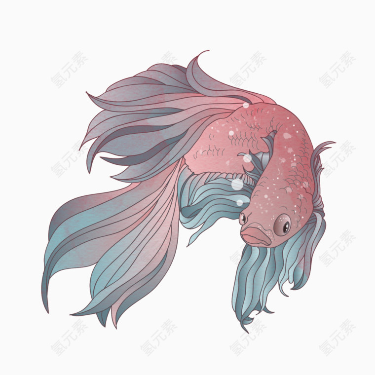 彩绘金鱼矢量素材