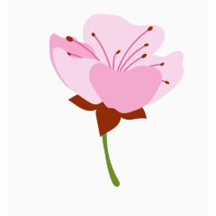 小清新花瓣花朵花卉元素